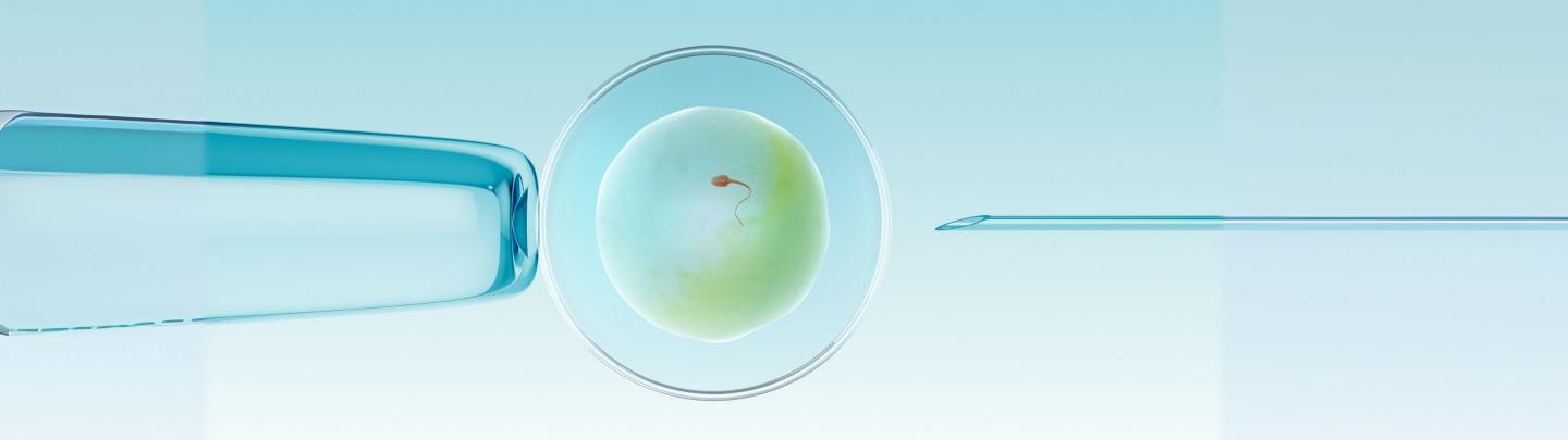 ICSI Treatment