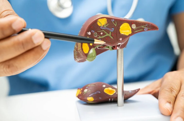 Kidney Liver Tests