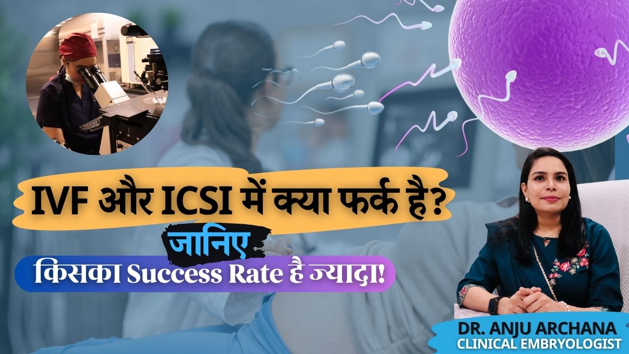 Expert Doctor Interview
